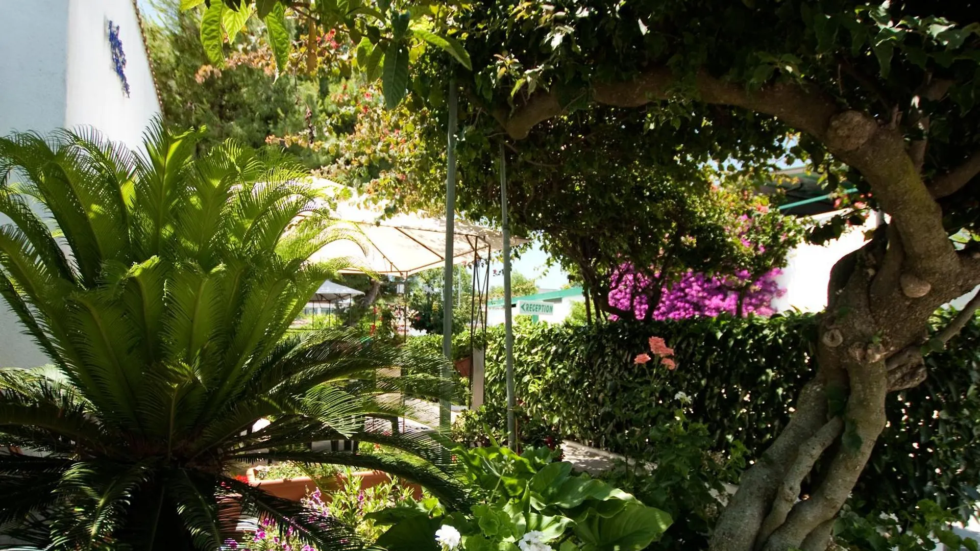 Hotel Residence Nemo Brindisi