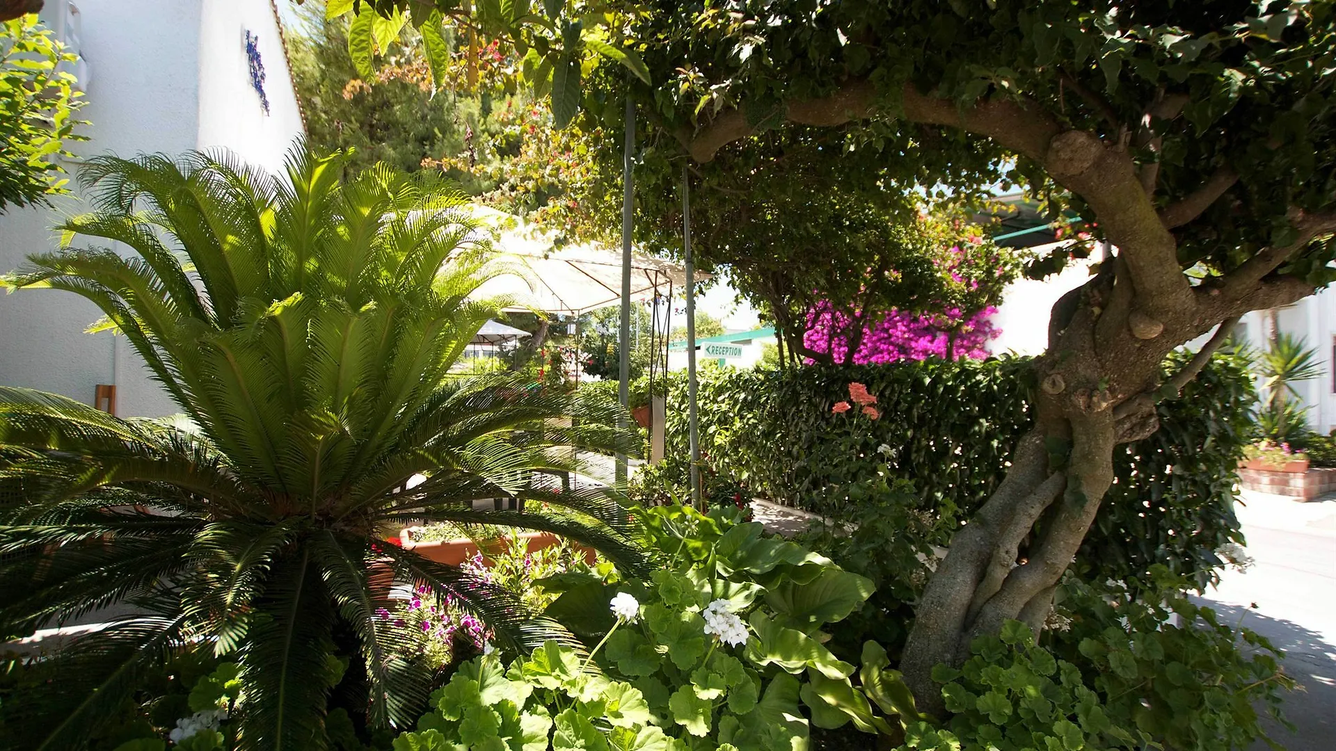 Hotel Residence Nemo Brindisi